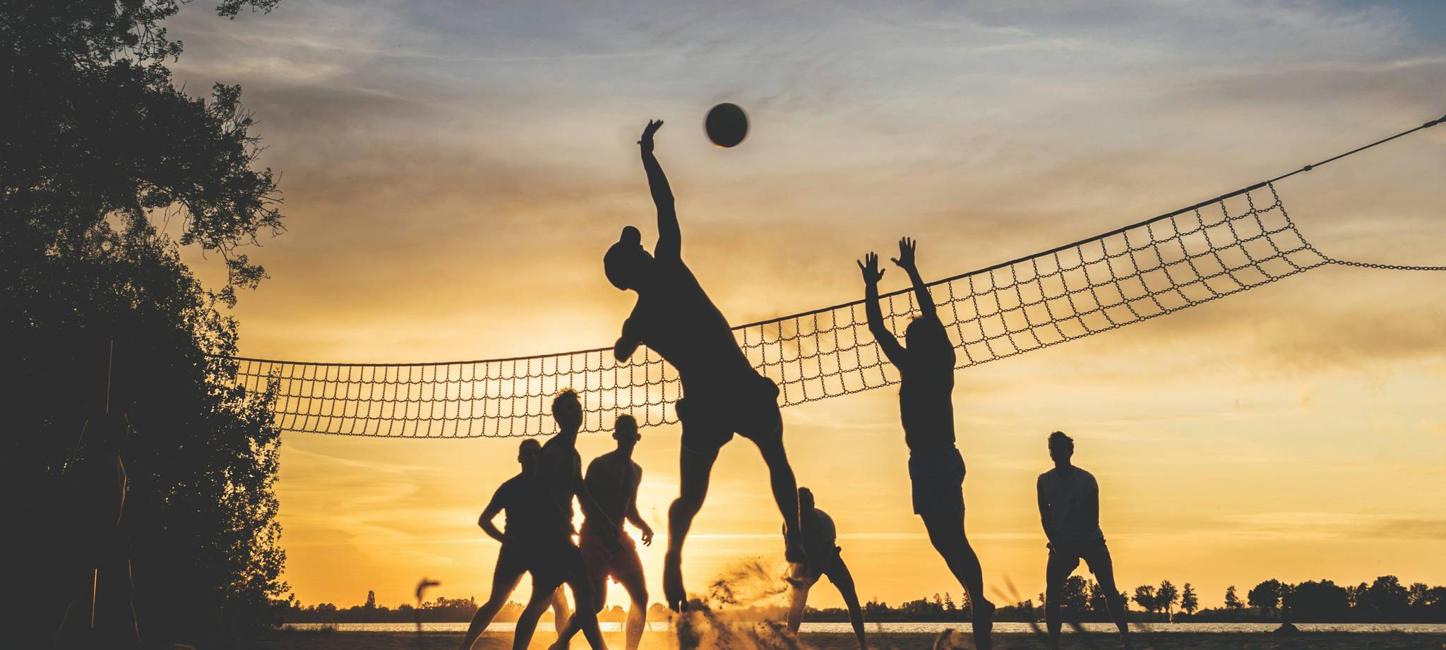 乐鱼(leyu)官方网站 - 乐鱼官网唯一入口