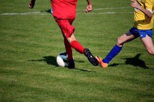 乐鱼体育入口-篮球训练计划科学制定及执行效果跟踪研究，简述篮球训练计划制定步骤